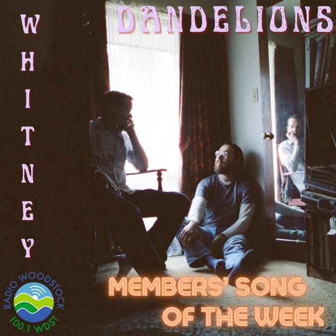 Dandelions